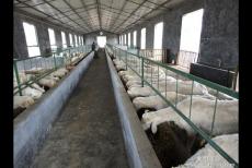 ��S�ЙC(j��)�����a(ch��n)��