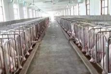 �i�S�ЙC(j��)�����a(ch��n)��